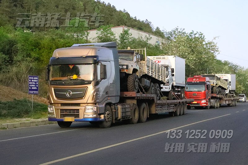 一批冷藏车和越野卡车准备发往大洋洲 客户准备接车