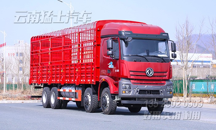 仓栅式运输车,四桥仓栅车,仓栏高栏货车,前四后八仓栏车,仓栏车出口,9.6米花栏车